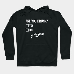 Are you drunk Trump 4th of July Funny politics (light design) Hoodie